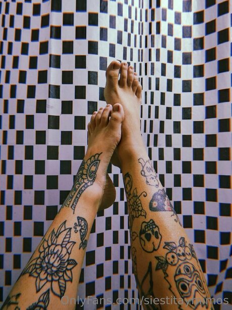 Siestitaymimos xxxスター 画像