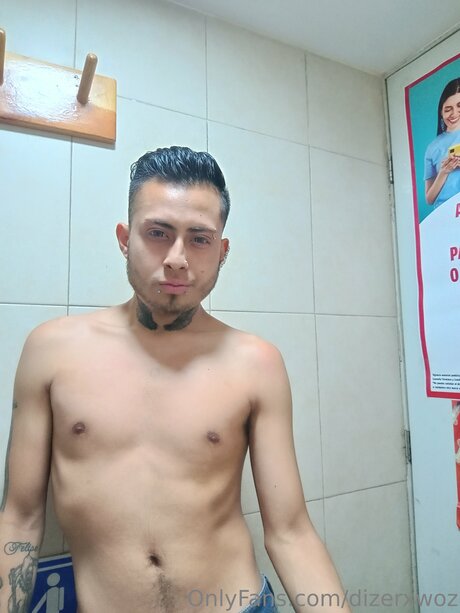 Dizerxwoz ポルノスター 高品質 写真