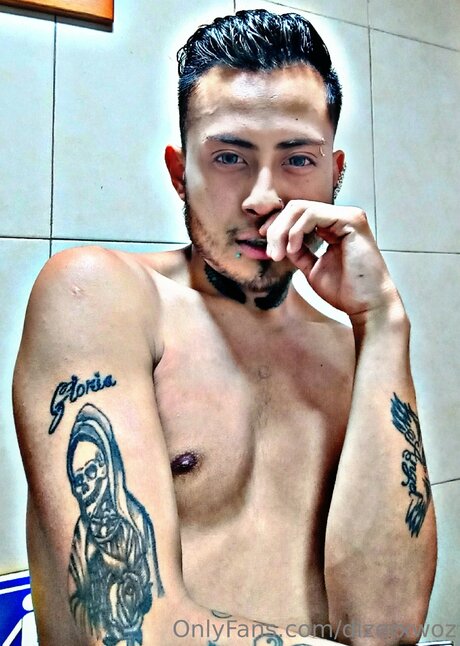 Dizerxwoz セックス女優 画像