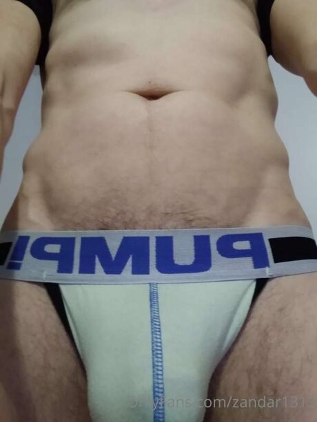 Zandar1313 無料モデル ギャラリー