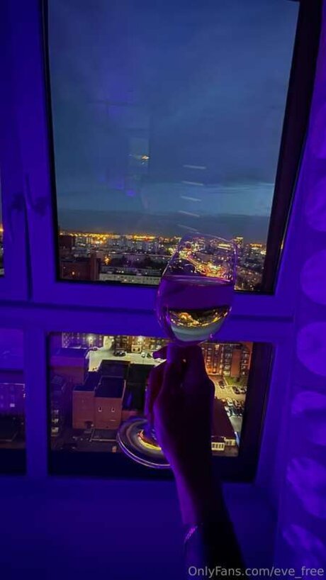 Evexross 高品質モデル 写真