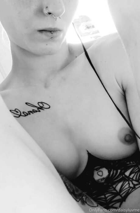 Daisyluvme 完璧なスター 画像