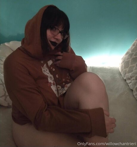 Willowchantrieri スター 写真