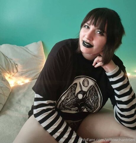 Willowchantrieri 裸のモデル 画像