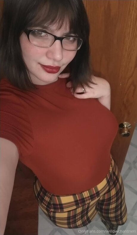 Willowchantrieri 裸のスター 写真