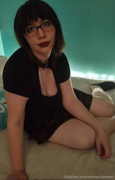 Willowchantrieri エロティックなスター 画像