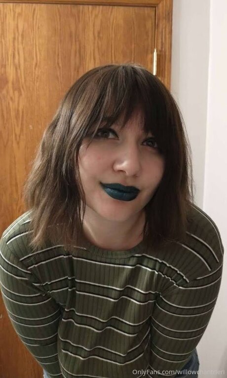 Willowchantrieri Profilbild