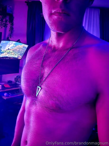 Brandonmagnum 美しいポルノスター 画像