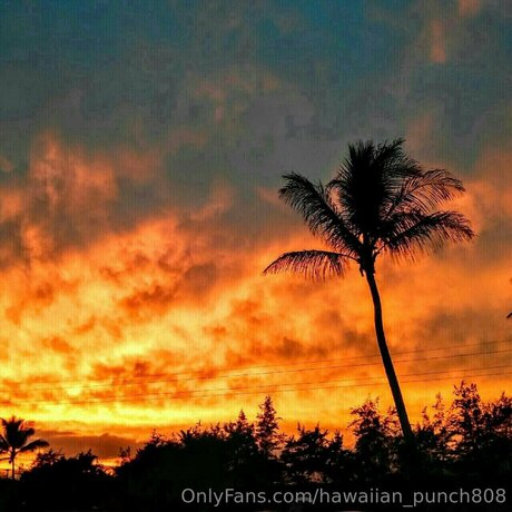 不明なファン 無料セクシー 写真