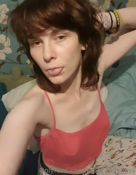 ブラジルの猫オンリーファンズ アート裸 画像