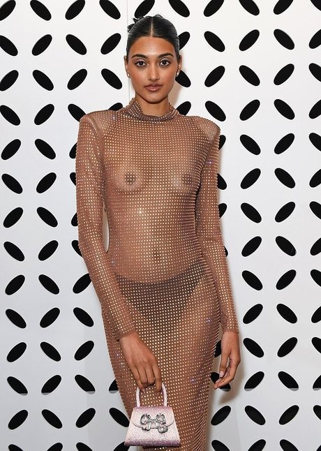 Neelam Gill 完璧なポルノスター 写真