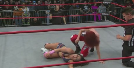 ブラジルの猫オンリーファンズ アダルト無料 ギャラリー