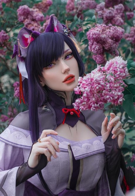 Vell Felice 独占モデル ギャラリー