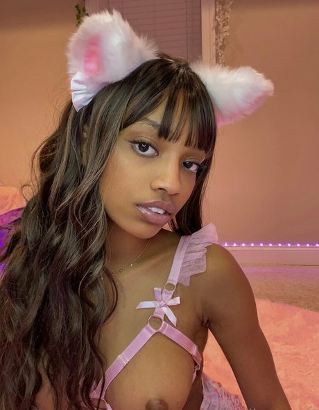 carebearelle 高品質スター ギャラリー