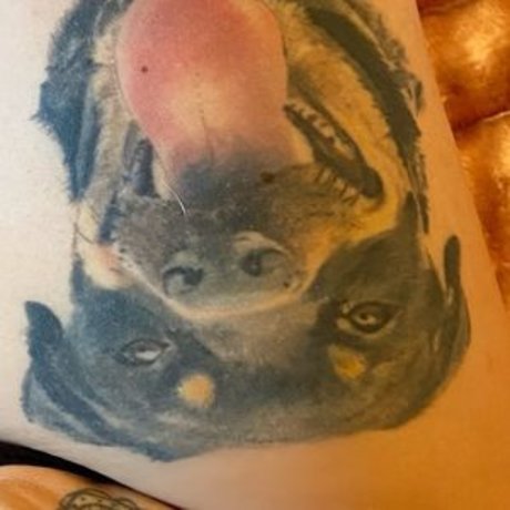 背が高くて巨乳のOnlyFans セクシーxxx 写真