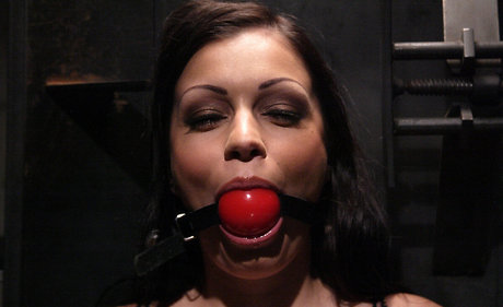 Aria Giovanni アートスター 画像