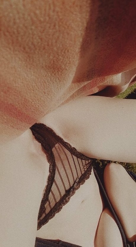 stuffiesncum HDモデル 写真