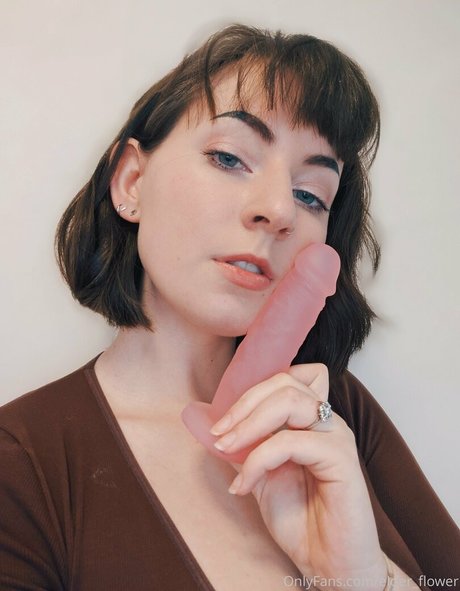 softnspooky 独占スター 画像