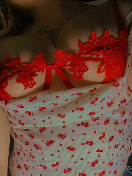 教師限定ファン アートxxx 写真