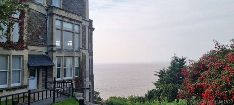 U292301927 ポルノスター パーフェクト 画像