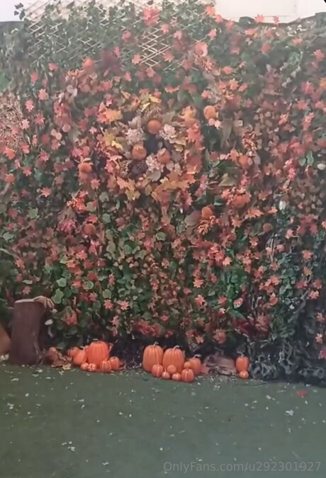 U292301927 美しいポルノスター 画像