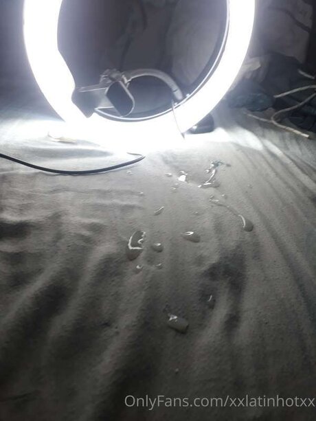 Xxlatinhotxx 限定モデル 画像