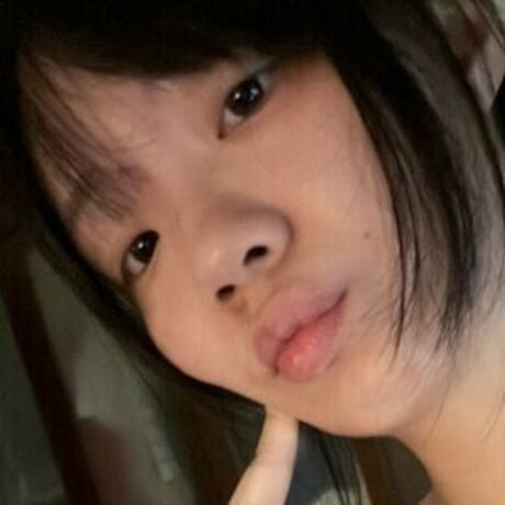 cyerripaws ポルノスター ベスト 画像