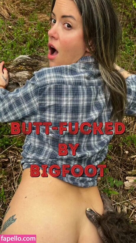 shugahboogah 素敵なスター 写真