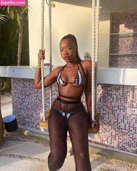 Chef Madam アートスター 画像