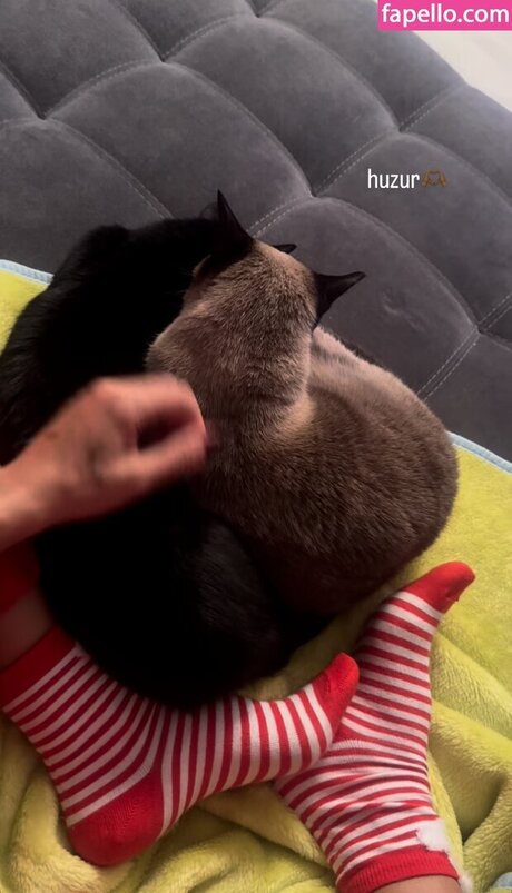 pinars0ylu 独占スター 写真