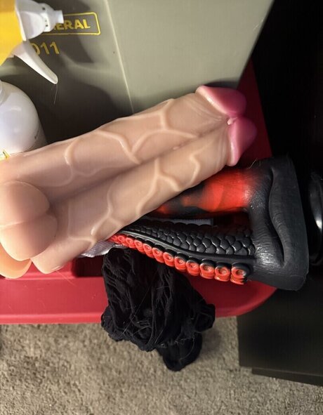 Heidi Cummin セクシーなスター 写真