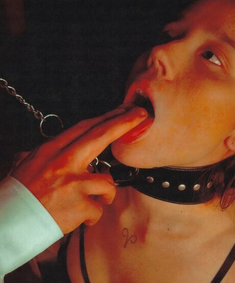 Nonothinginc 最高のスター 画像