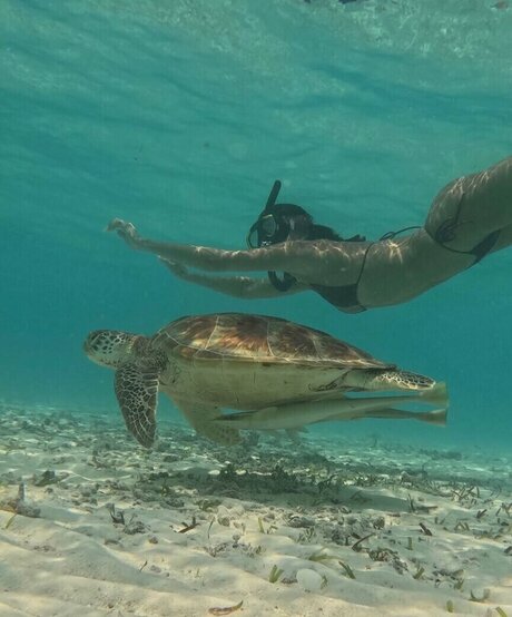 ライトスキンオンリーファンズ 無料アダルト 写真