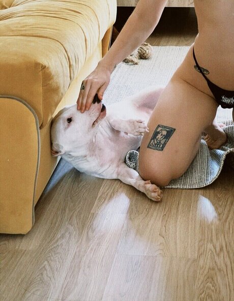 巨大なチンポを持つシーメールオンリーファンズ 無料アダルト 写真