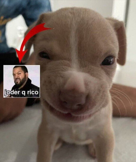 Mar29 トップスター アーカイブ