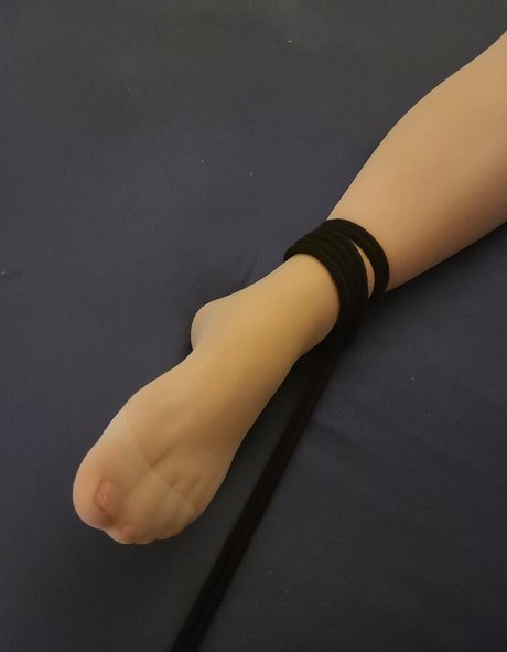 celticsoles 完璧なポルノスター 写真