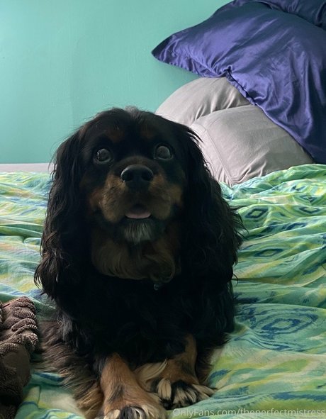 不明なファン えろた アーカイブ