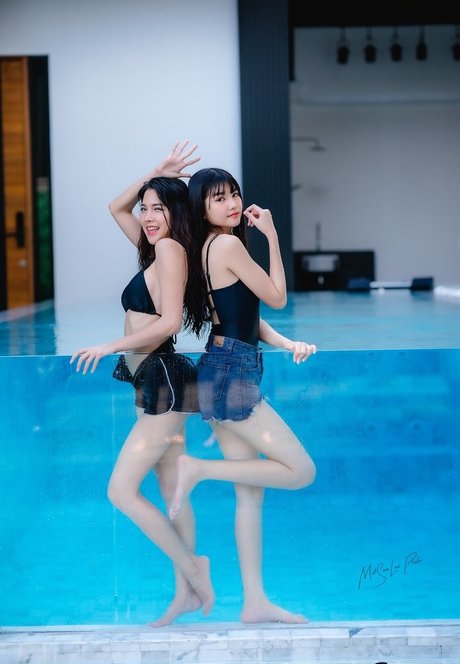 baibaifern 最高のスター 写真