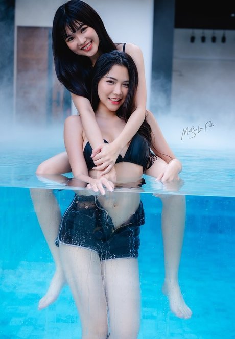 baibaifern スター 写真
