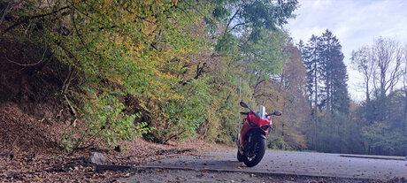 Tonio ヌードモデル ギャラリー