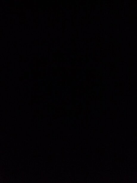 possum 高品質のスター 写真