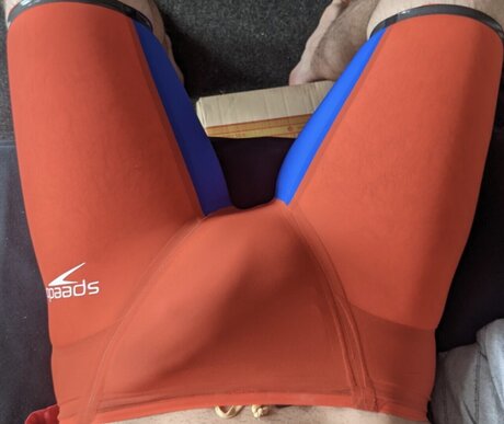 Swim Guy 2000 素敵なスター アーカイブ