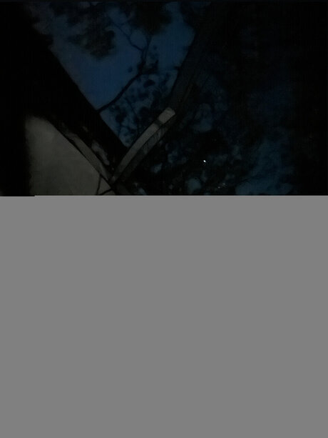 Ren amp lt3 裸の女優 ギャラリー