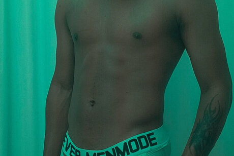 X The Tree Climber 美しいスター 画像