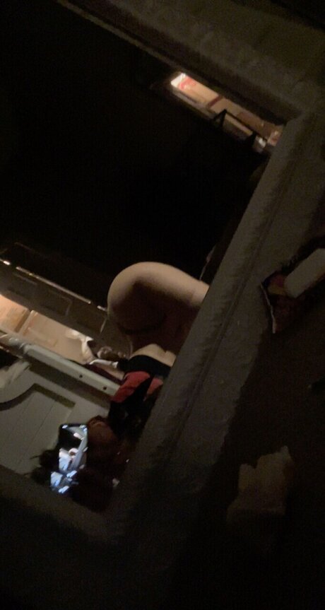 家族限定ファン HD アーカイブ