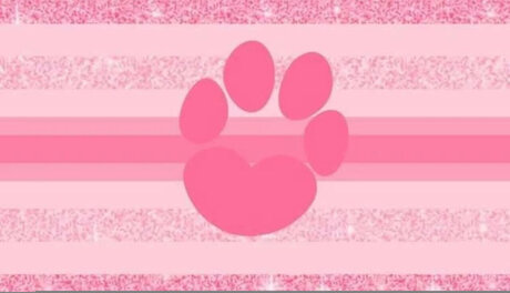 _Faye_ セックス女優 写真