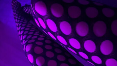 Sara Dutch Goddess_ トップスター 画像