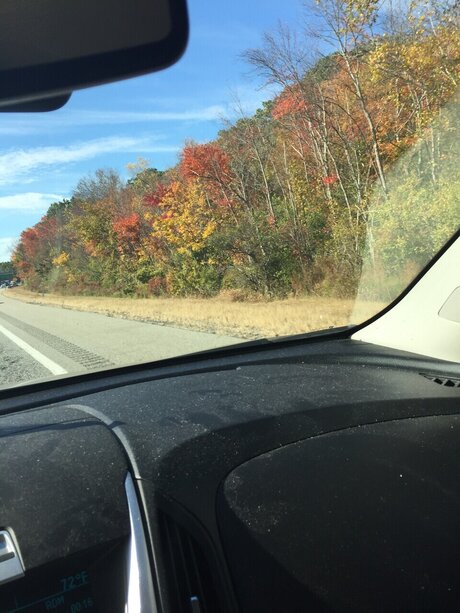 Dadwiththebod ポルノスター 美しい アーカイブ