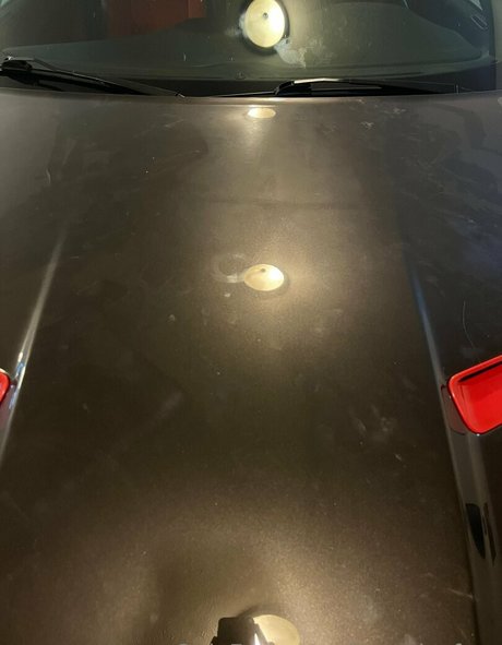 かわいいシーメールオンリーファンズ ポルノ アーカイブ