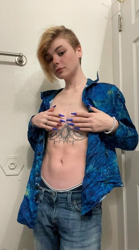 pastel vixen03 アートスター 写真